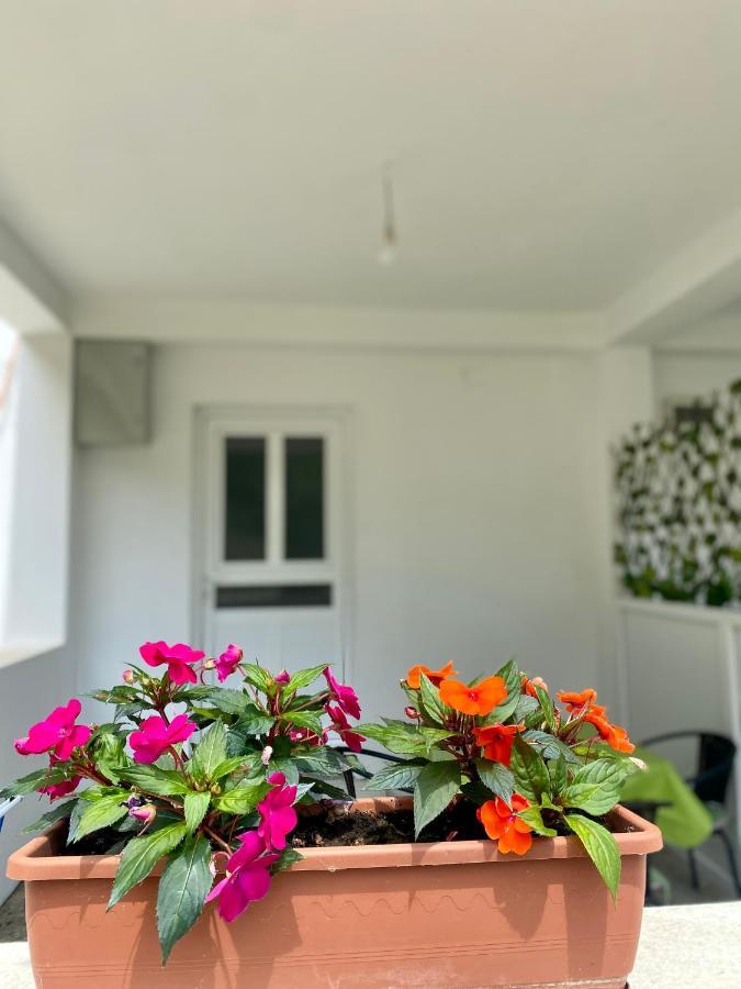 Apartmani Dragana Χέρτσεγκ Νόβι Εξωτερικό φωτογραφία